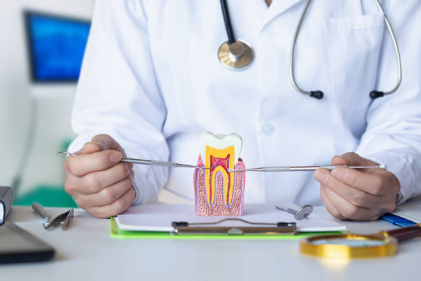 Best Emergency Dental Extractions in Luverne, AL